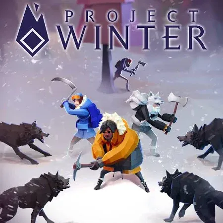 Project Winterの商品画像